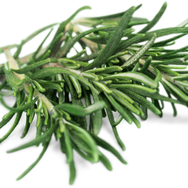 Hair Potion Oil - Image 5